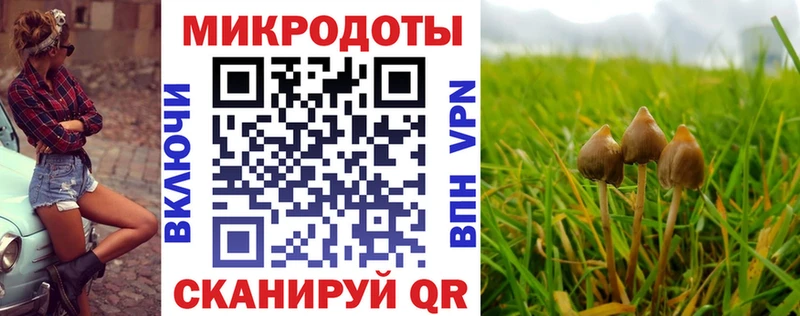 darknet формула  купить наркотик  Озёрск  Псилоцибиновые грибы MAGIC MUSHROOMS 